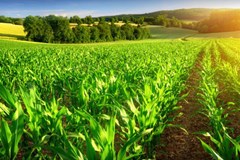 دستاوردهای بزرگ صادراتی کشاورزی برزیل در خلال ۴ ماه اول سال ۲۰۲۰