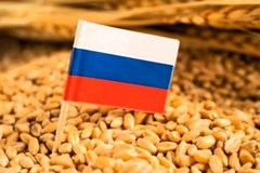 اما و اگرهای بازار غلات روسیه و تأثیر آن بر واردات نهاده‌های دامی ایران