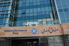 تسهیلات ارزی واردات نهاده از مسیر صندوق توسعه ملی برقرار شود