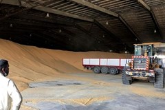 پیگیری اتحادیه و قول مساعد برای استرداد اضافه وجوه دریافتی انبارداری نهاده های دامی 