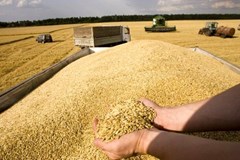 اولویت تخصیص 821 میلیون دلار از طلب 3 میلیاردی معوق محموله های وارد شده در آذر و دی 1403 از مسیر نیکو