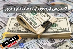 450 میلیون دلار از مجموع 2 میلیارد دلار ارز معوق نهاده های دامی تخصیص داده شد