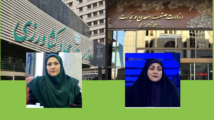 مشکلات اجرایی مصوبه تمدید بدون کارمزد ثبت سفارشهای معتبر قبل ۲۰ خرداد برطرف شد 