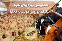 چرا حسابرسی ویژه برای تعهد 4 میلیارد یورویی دولت به تجار موضوعیت ندارد؟