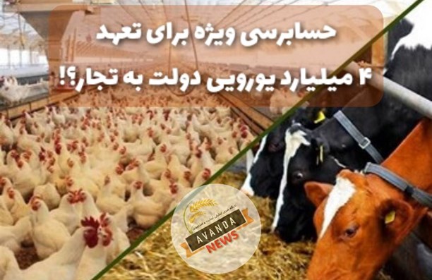 چرا حسابرسی ویژه برای تعهد 4 میلیارد یورویی دولت به تجار موضوعیت ندارد؟
