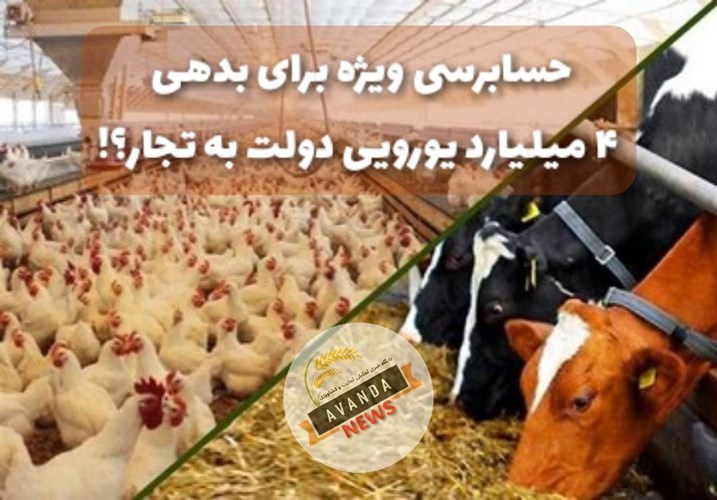 چرا حسابرسی ویژه برای بدهی 4 میلیارد یورویی دولت به تجار موضوعیت ندارد؟