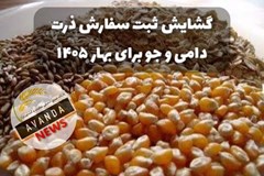 ثبت سفارش ذرت دامی و جو سهمیه بهار 1405 از امروز گشوده شد