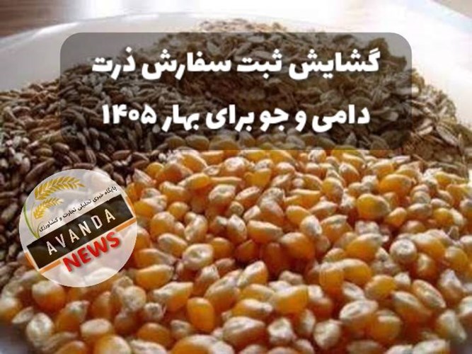 ثبت سفارش ذرت دامی و جو سهمیه بهار 1405 از امروز گشوده شد