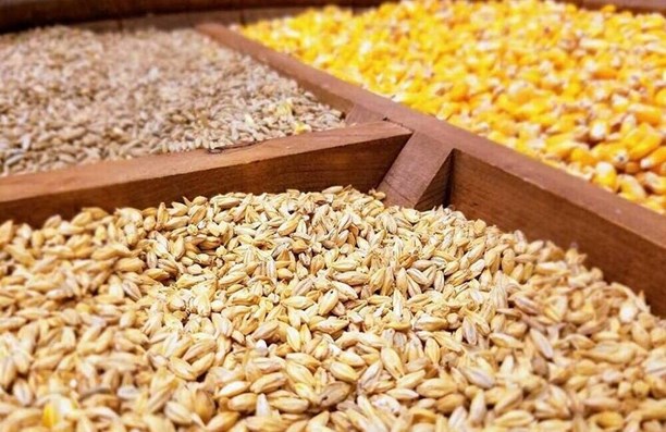 تمدید سه ماهه ثبت سفارشهای معتبر تا ۲۰ حرداد نهاده ها انجام شد