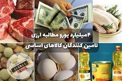 مسئله اصلی مطالبه ارزی است نه محاصره دریایی!/ 4 میلیارد دلار پیش بینی نشده در بودجه 1404 امروز سر تجار آوار شده است
