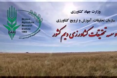بهترین ارقام بذر جو را تولید کردیم/ کشاورز نمی خرد!