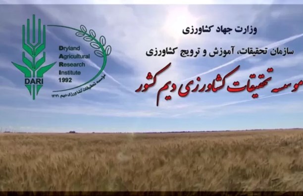 بهترین ارقام بذر جو را تولید کردیم/ کشاورز نمی خرد!