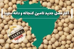 رفتارسنجی بازار جهانی کنجاله و دانه سویا در آستانه فصل جدید واردات به کشور