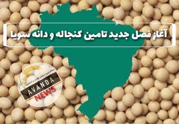 رفتارسنجی بازار جهانی کنجاله و دانه سویا در آستانه فصل جدید واردات به کشور
