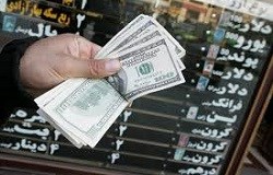 حذف ارز ترجیحی از واردات نهاده راهی برای ایجاد رقابت واردکنندگان