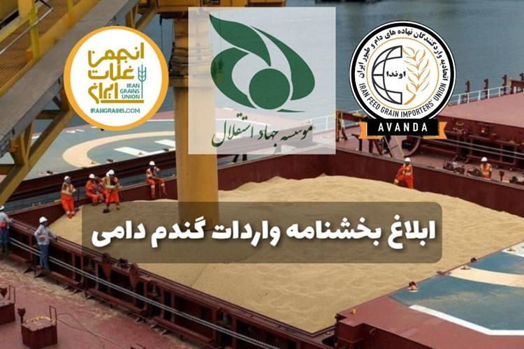 بخشنامه واردات 500 هزار تن گندم دامی با معرفی تشکلهای تامین نهاده ابلاغ شد