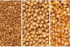 میزان واردات نهاده های دام و طیور در 7 ماهه سال 1404و مقایسه با مدت مشابه سال قبل