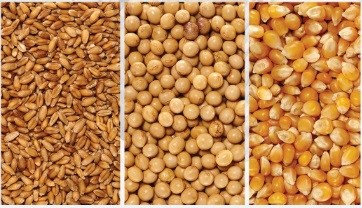 میزان واردات نهاده های دام و طیور در 7 ماهه سال 1404و مقایسه با مدت مشابه سال قبل