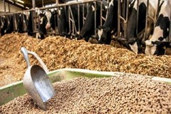 از فردا تمدید سیستمی یک ماهه ثبت سفارش نهاده های دامی عملیاتی می شود
