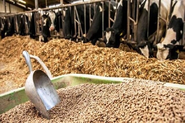 از فردا تمدید سیستمی یک ماهه ثبت سفارش نهاده های دامی عملیاتی می شود