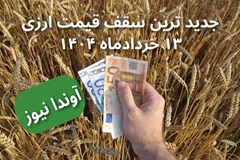 ابلاغ جدیدترین سقف ارزی قیمت نهاده ها، غلات، دانه های روغنی و روغن خام