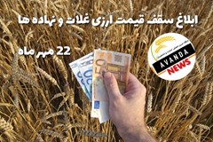آخرین سقف قیمت ارزی غلات و نهاده های دامی اعلام شد