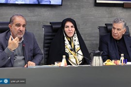 یکصد و سی و پنجمین نشست شورای گفتگوی دولت و بخش خصوصی