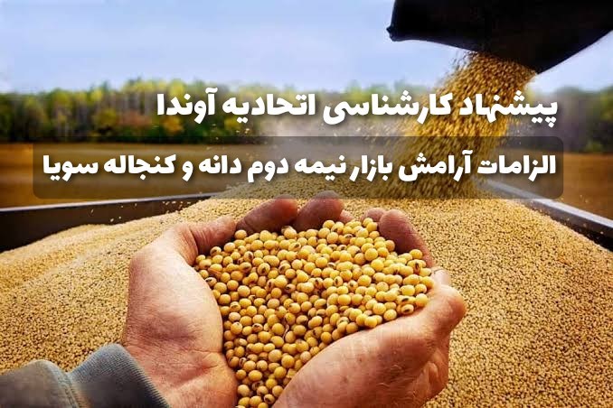 دانه و کنجاله سویا/ نیاز واقعی بازار تا راهکار کاهش تمرکز و افزایش اثرگذاری بازیگران بزرگ