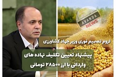 سه روش پیشنهادی تشکلهای تامین نهاده برای تعیین تکلیف نهاده های وارداتی با ارز 28500 تومانی که بعد جراحی اقتصادی باید به بازار عرضه شود