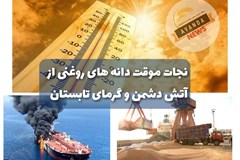 تحلیل اختصاصی/ نجات موقت دانه های روغنی از آتش دشمن و گرمای تابستان