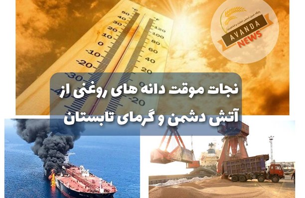 تحلیل اختصاصی/ نجات موقت دانه های روغنی از آتش دشمن و گرمای تابستان