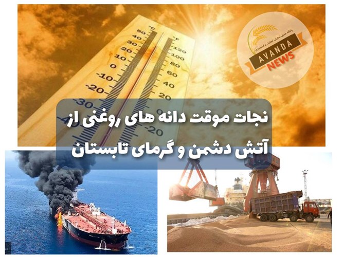 تحلیل اختصاصی/ نجات موقت دانه های روغنی از آتش دشمن و گرمای تابستان
