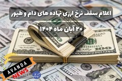 دقایقی پیش سقف نرخ ارزی نهاده های دام و طیور مصوب شد/ به تفکیک کالا و مبادی تامین