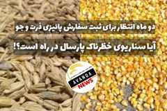 دو ماه از پائیز گذشت/ همچنان از باز شدن ثبت سفارش ذرت و جو پائیز خبری نیست!