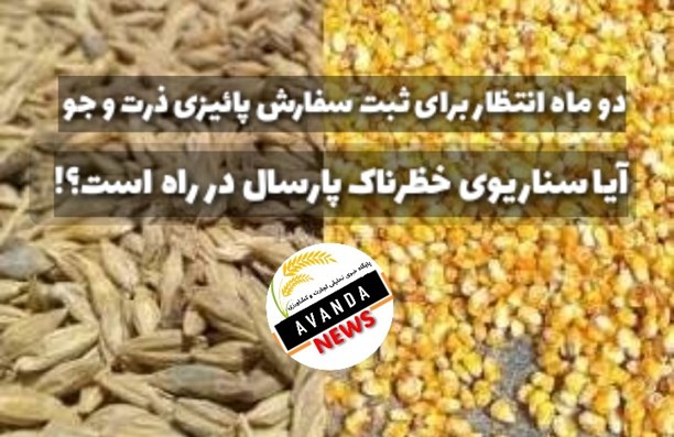 دو ماه از پائیز گذشت/ همچنان از باز شدن ثبت سفارش ذرت و جو پائیز خبری نیست!