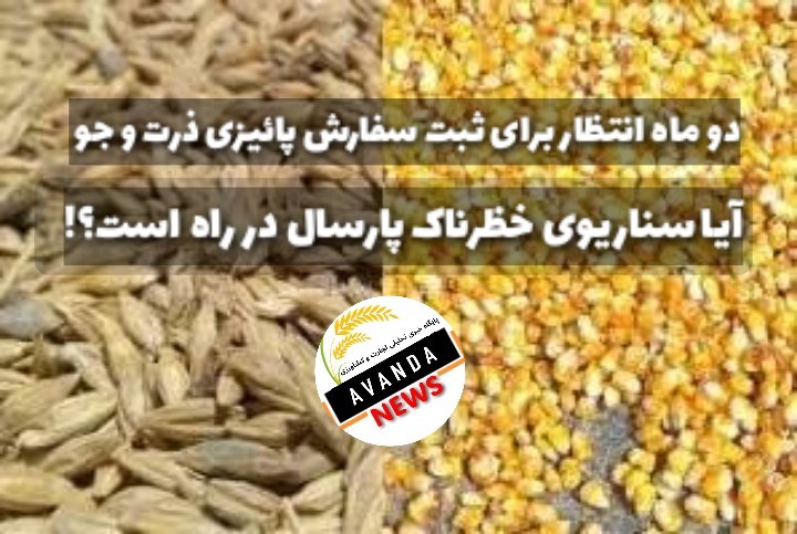 دو ماه از پائیز گذشت/ همچنان از باز شدن ثبت سفارش ذرت و جو پائیز خبری نیست!