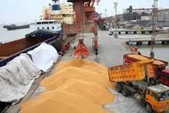 معرفی برهم‌زنندگان واقعی بازار نهاده‌ها