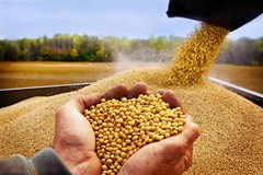 دو پیشنهاد اجرایی اتحادیه برای تمدید ثبت سفارش های فصل بهار برای تداوم تامین نهاده در شرایط جنگی