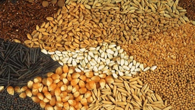 واردات حدود 5.5 میلیون تن نهاده