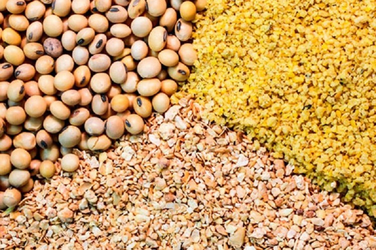 دپوی کالا هزینه واردات را افزایش می دهد