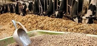 تبعات سوءمدیریت در تامین نهاده های دامی به واردکنندگان تحمیل می شود