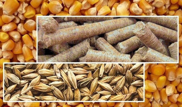 کمبود نهاده های دامی ادامه دارد