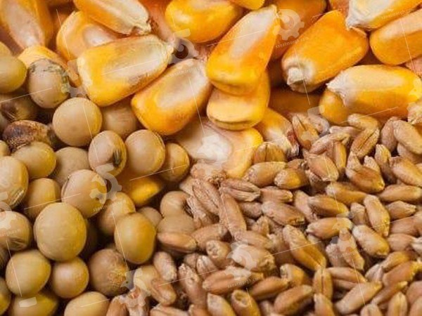 فرآیند اداری 2 هزار تن خوراک طیور را از میان برد