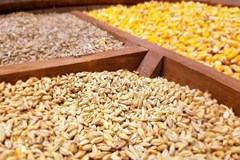 توقف ثبت سفارش نهاده های دامی تکذیب شد