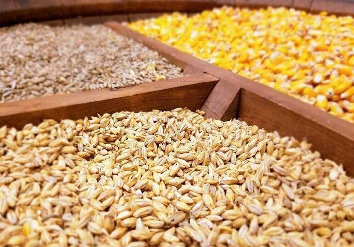 توقف ثبت سفارش نهاده های دامی تکذیب شد