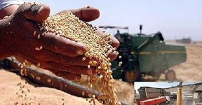 شرایط تامین نهاده های دامی برای دام ها در مرز هشدار است