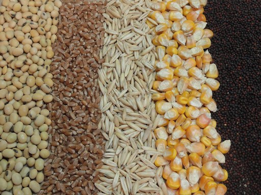 میزان واردات نهاده های دام و طیور در 8 ماهه سال 1404و مقایسه با مدت مشابه سال قبل