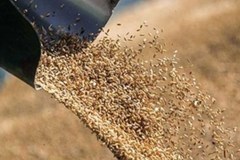 میزان واردات نهاده های دام و طیور در 6 ماهه سال 1404و مقایسه با مدت مشابه سال قبل