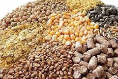 میزان واردات نهاده های دام و طیور در 5 ماهه سال 1404و مقایسه با مدت مشابه سال قبل