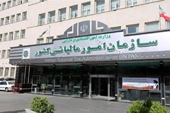 محاسبه زیان نرخ تسعیر ارز و تلورانس وزنی 1.5 درصدی کالا در مسیر دستور کار سازمان امور مالیاتی